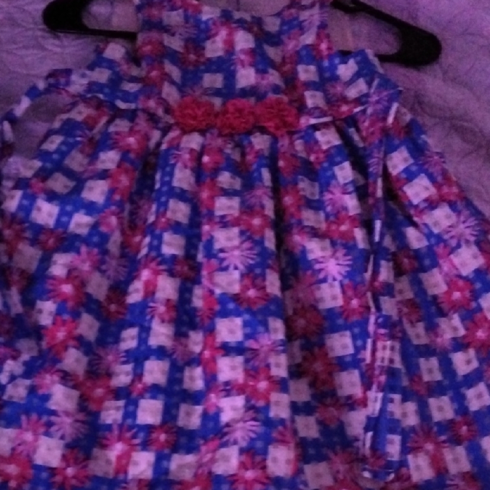 Blue and Pink Floral Dress